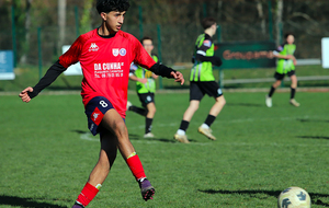 U17 / Buisson II